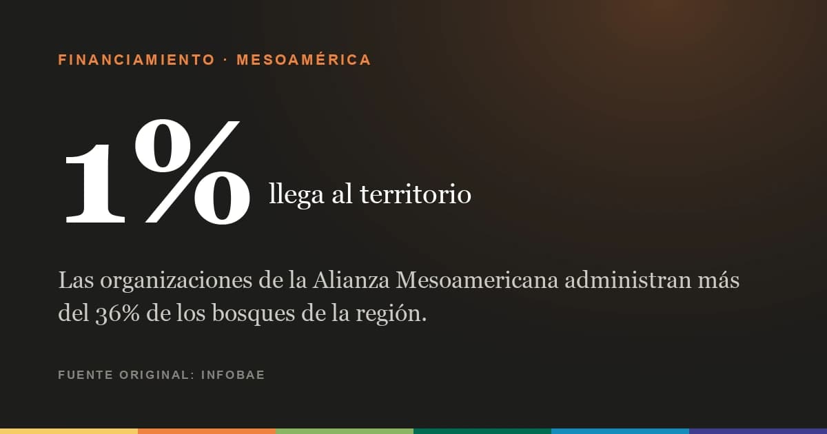 Las organizaciones de Mesoamérica administran más del 36% de los bosques de la región y reciben el 1% del financiamiento